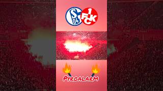 Schalke 04 - 1FC Kaiserslautern shorts pyroalarm 1fckaiserslautern