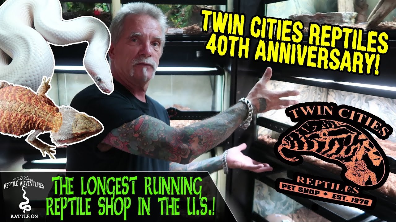 THE LONGEST RUNNING REPTILE SHOP IN THE U.S.! (Twin Cities Reptiles