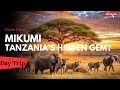 The Hidden Wildlife Of Mikumi National Park The Hidden Wildlife Of Mikumi National Park