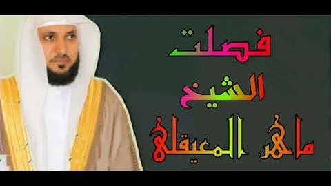 المصحف المرتل سورة فصلت الشيخ ماهر المعيقلي