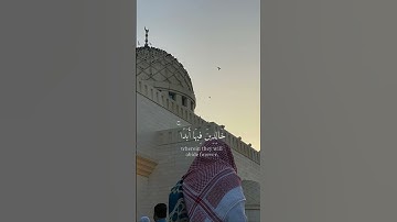 القارئ : محمد أيوب من سورة المائدة #محمد_أيوب #اكسبلور #explore