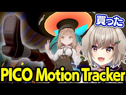 VRChatで体を動かしたい！お手軽フルトラ機材購入！【PICO Motion