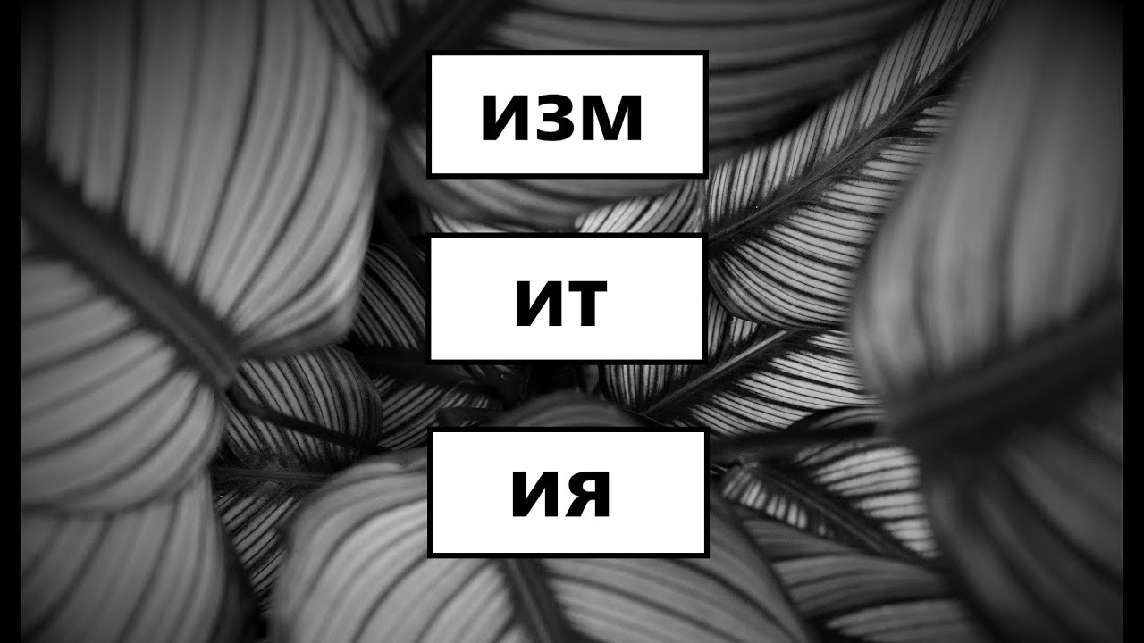 Почему Деление Ислама Напрасно - YouTube