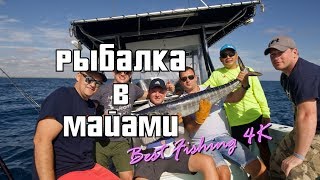Лучшая морская рыбалка в Майами | Best Fishing in Miami - 4K
