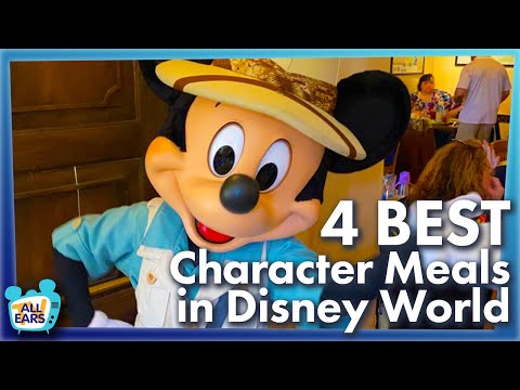 Video: Karakteropplevelser i Disney World