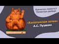 Разбор романа (повести) &quot;Капитанская дочка&quot; А.С. Пушкина