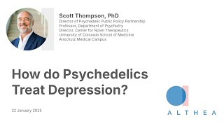 How do Psychedelics Treat Depression? - Scott Thompson - Althea