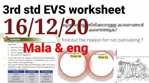 3rd Std EVS worksheet 16-12-20| kite victers 3rd Std EVS worksheet 16-12-20| parisarapadanam
