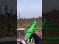 Smart Chinese Frost Protection System For Trees Smart Chinese Frost Protection System For Trees