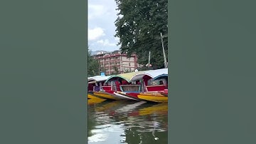 Colourful Shikara in Dal Lake #srinagar #kashmir  #india