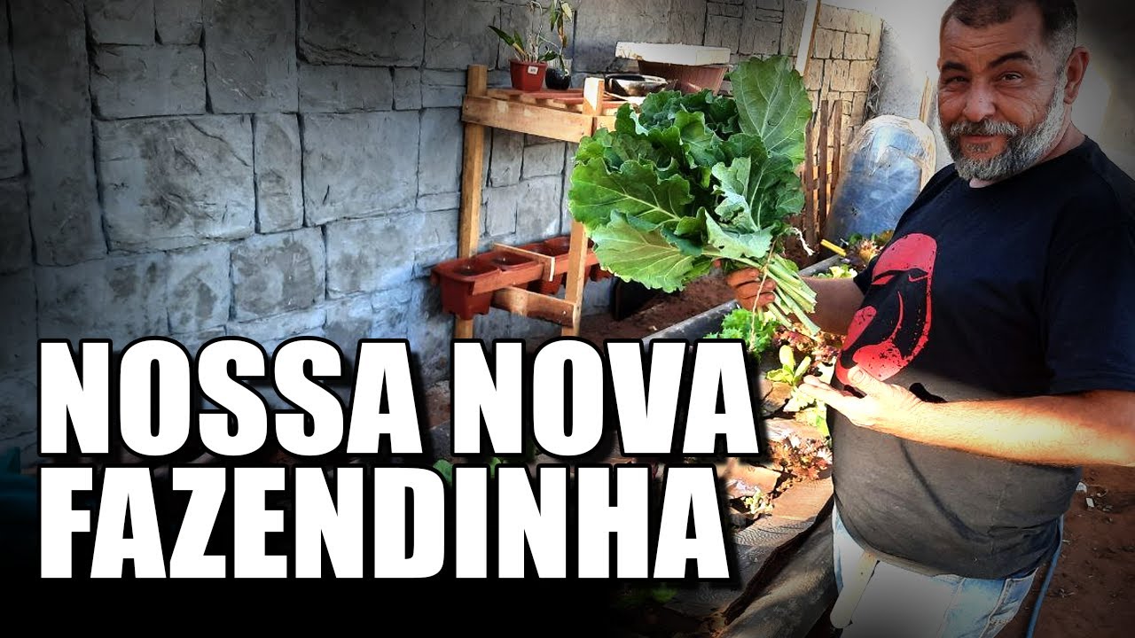 PLANTAR COMIDA EM CASA | COLHEITA E A NOVO PROJETO DE  “FAZENDINHA”