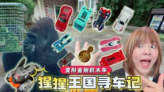 猩猩王国藏着多少积木车？靠钛师傅魔力球集齐三弹，拼超大相框