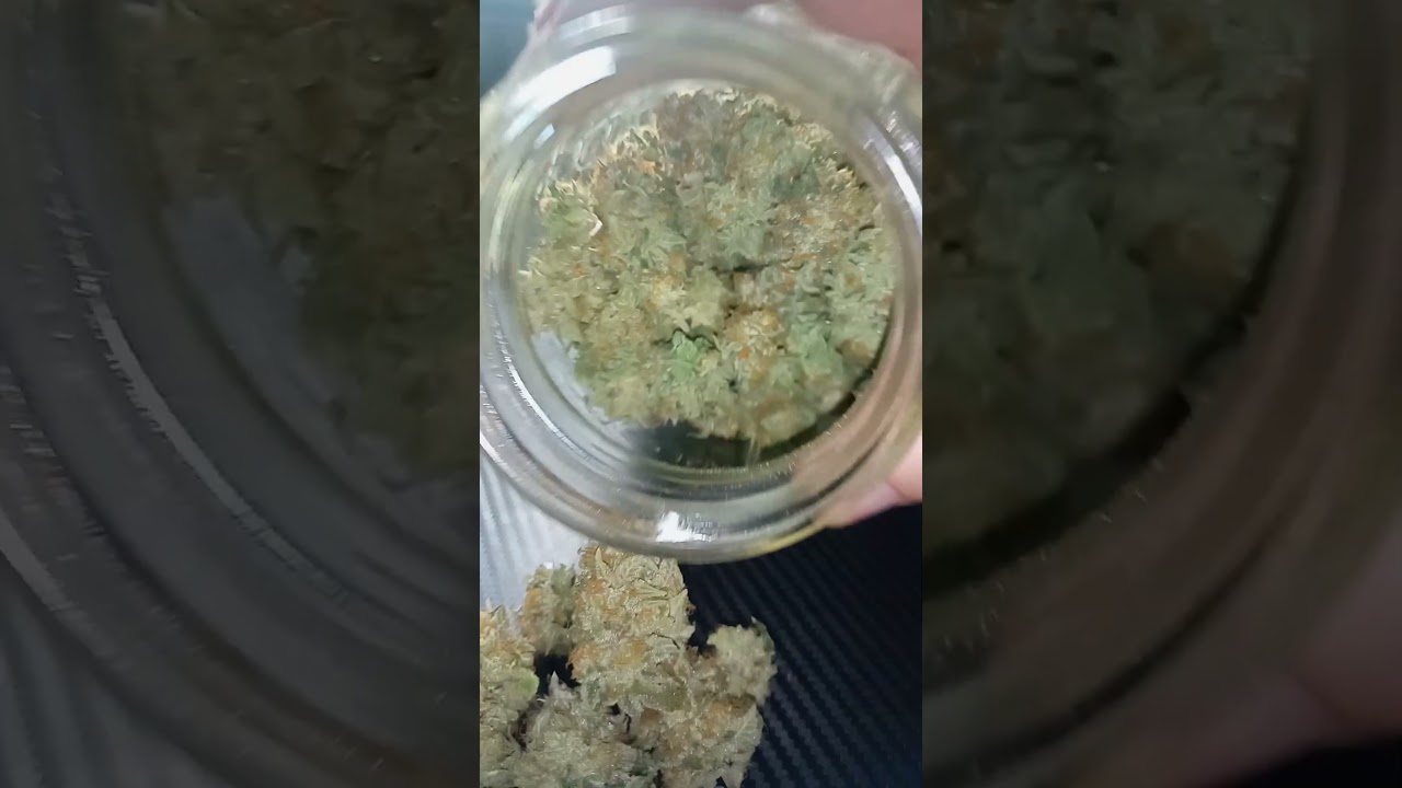 Chem Cookies #3 F3 IBL. Craft Artisan Grower, and breeder!