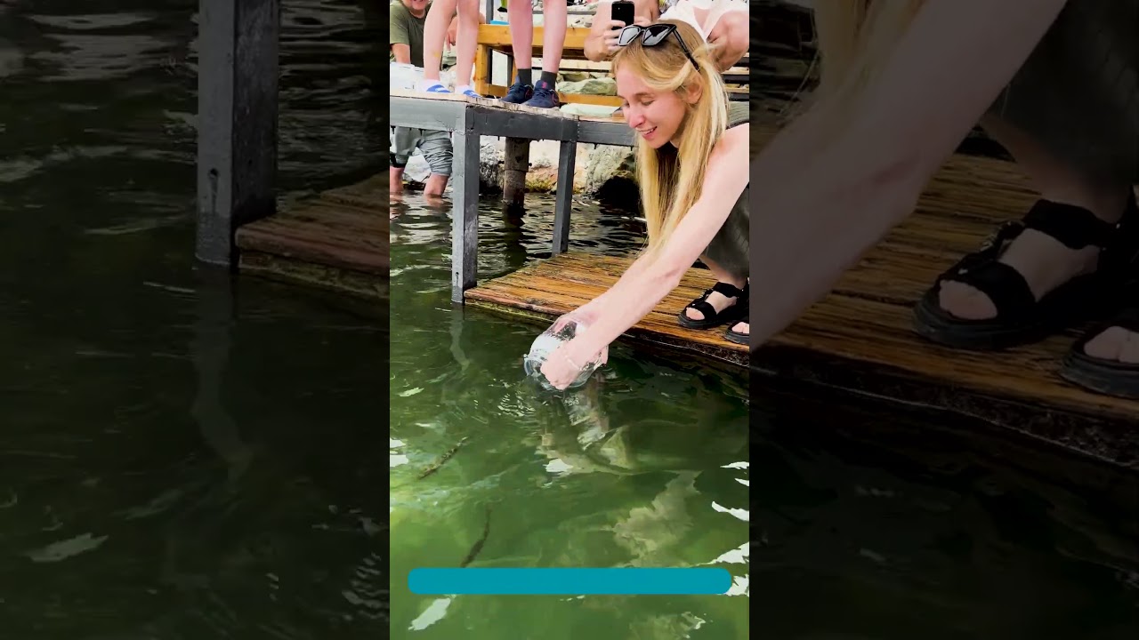 Help Lake Sevan - set free the baby fish of endemic Sevan trout at Dive Resort Altitude 1900!