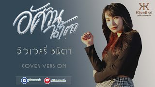 อัศวินน้ำตา - จิวเวลรี่ ชนิดา[Cover Version] Original น้ำเเข็ง ทิพวรรณ