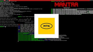 Live Bug Hunting on MTN | Hackerone | Manual Hunting