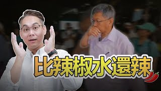 🔥超硬直播｜譴責青鳥的暴力行為｜比辣椒水還辣的直播