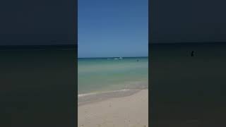 Merida Vlog: PROGRESO BEACH @mexicologytravels  #merida #beach #yucatanpeninsula #progreso Wealth