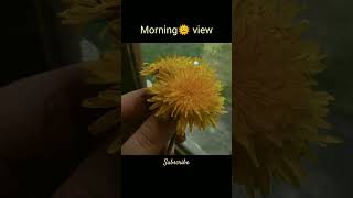 morning view#morning #views #flowers #vibes #nature #like #share #ytshorts #subscribe#viral #viral