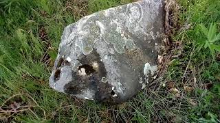 250on  Steak Stub Bosanski Obeliskstari Nian Reon  Konjicx