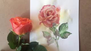 Роза акварелью с натуры🌹🌹🌹/ Watercolour rose