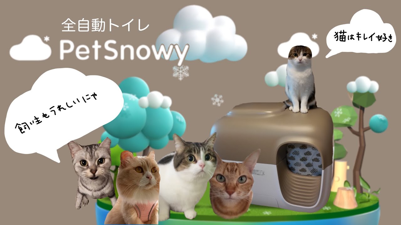 全自動猫用トイレ「Pet Snowy」が我が家にやってきた🚽‼️【The  