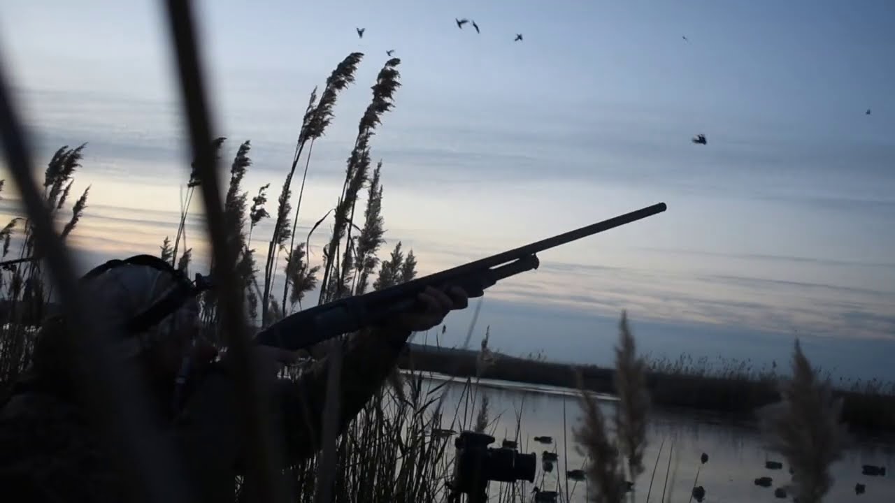 Public Land Duck Hunting In Maryland YouTube