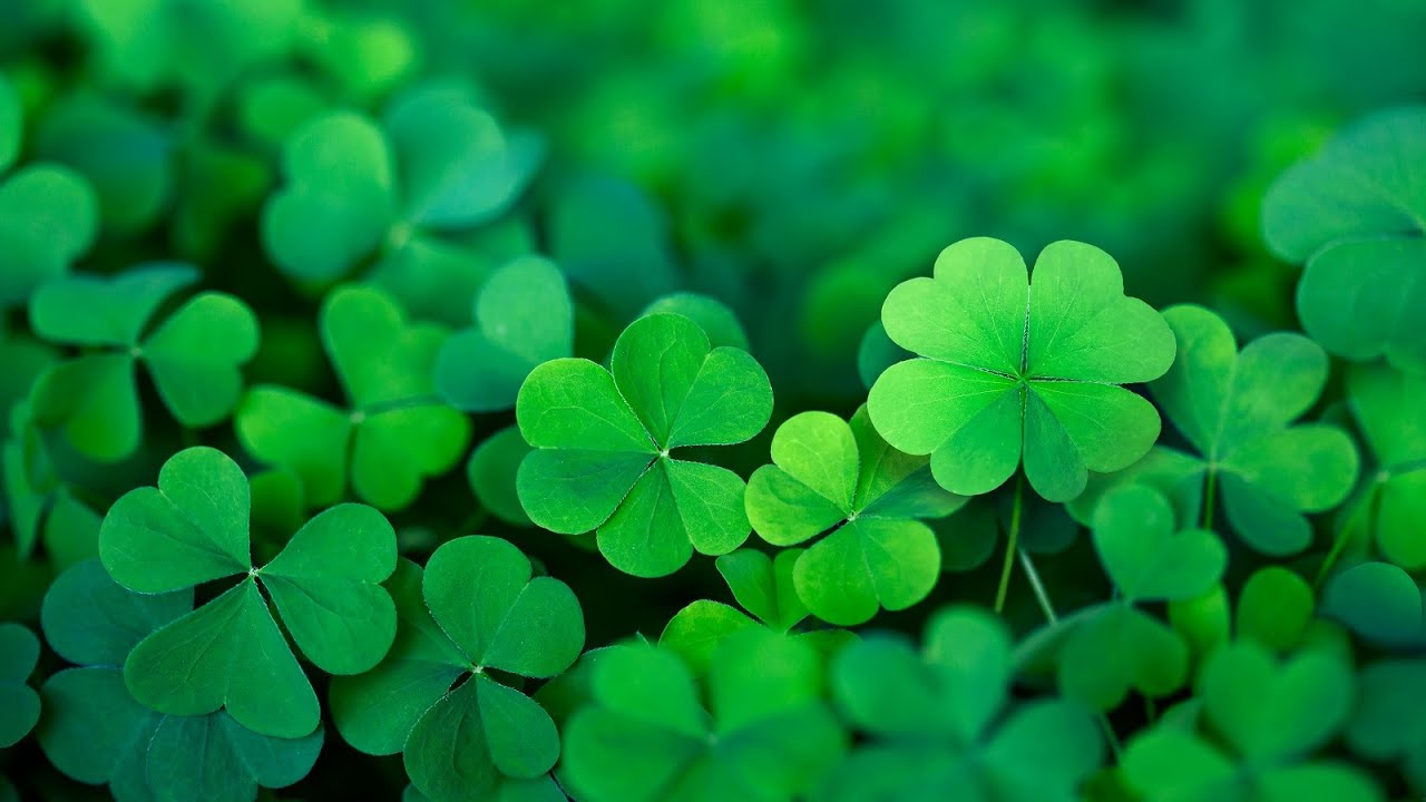 Happy Irish Music – Saint Patrick's Day | Celtic, Cheerful ☘️