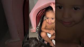 Boy Sitting Inside Dog’s Kennel With 3 Dogs