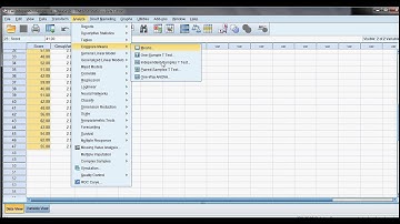 SPSS t Test for Independent Samples