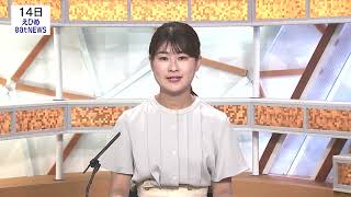【愛媛のニュース】６月１４日（日）夕方ニュース【愛媛朝日テレビ】
