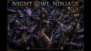 Night Owl Ninjas