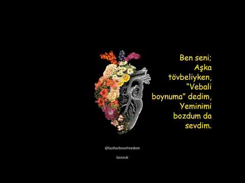 BEN  SENİ BÖYLE SEVDİM