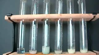 Testing for Halide ions