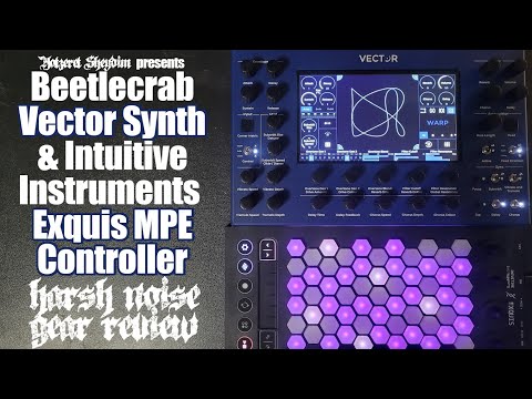 Beetlecrab Vector Synth & Intuitive Instruments Exquis Harsh Noise