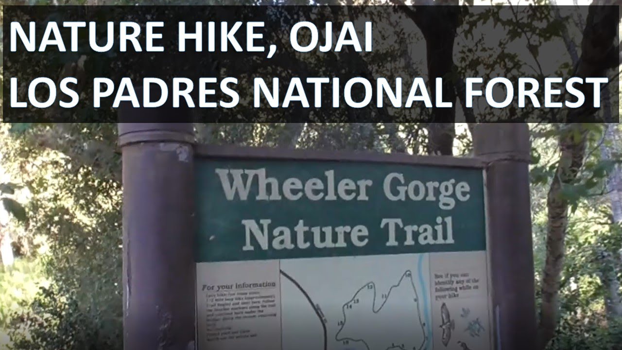 WHEELER GORGE NATURE TRAIL, Ojai Hike, Los Padres National Forest, Plant Identification