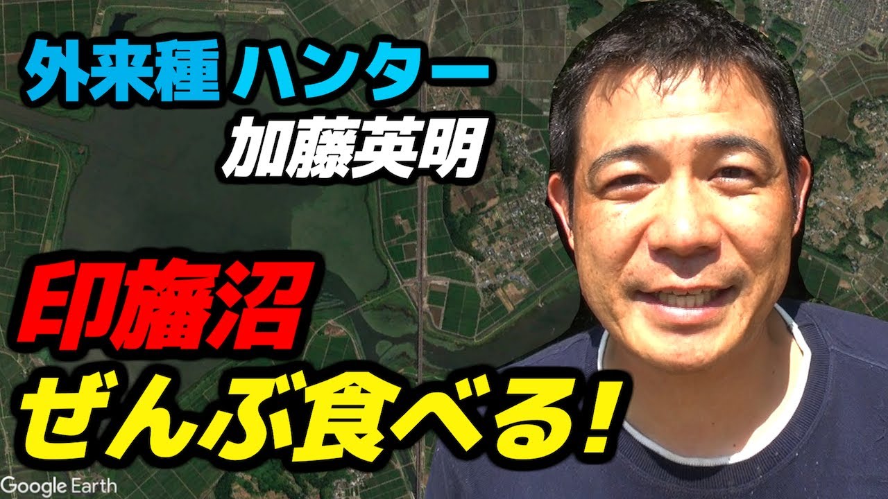 13 外来種アメリカナマズを天ぷらにして食べてみた Youtube