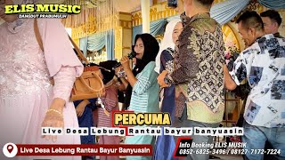 Percuma / ELIS MUSIK / Live Desa Lebung Kec Rantau Bayur Kab Banyuasin