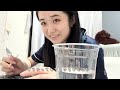 近況報告&人生観