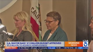 Los Angeles budget praised for homelessness funding, but growing LAPD draws criticism