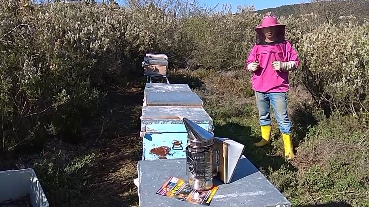 Sıfırdan Arıcılık Öğreniyorum - 1.Bölüm (Arımızı Alıyoruz)