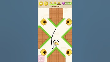 Save The Dog All Levels Gameplay Level 206