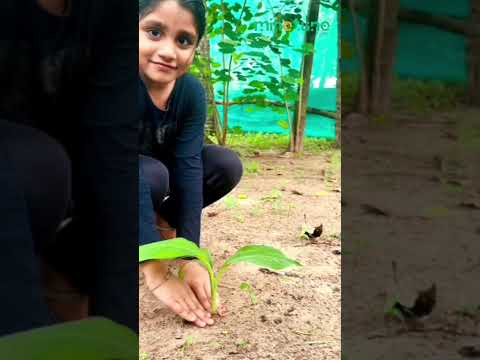 World Environment Day at Minetune