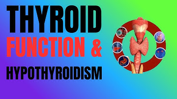 Thyroid function & hypothyroidism: how new approaches are transforming care || Dr.Peter Attia ||