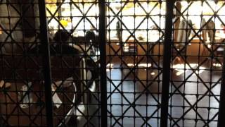 Vintage Unknown Hydraulic Caged Elevator at Warehouse Restaurant, Marina Del Rey, CA w/ Julie Part 1