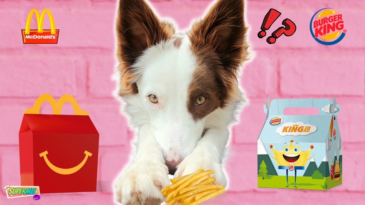 MC DONALDS vs BURGER KING ¿Qué Comida prefiere mi Perro? Mel