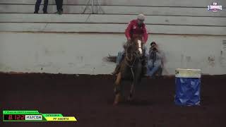 12 - Rayo Dash Sound