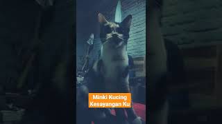 Ccp Min ki Kucing Kesayangan shorts