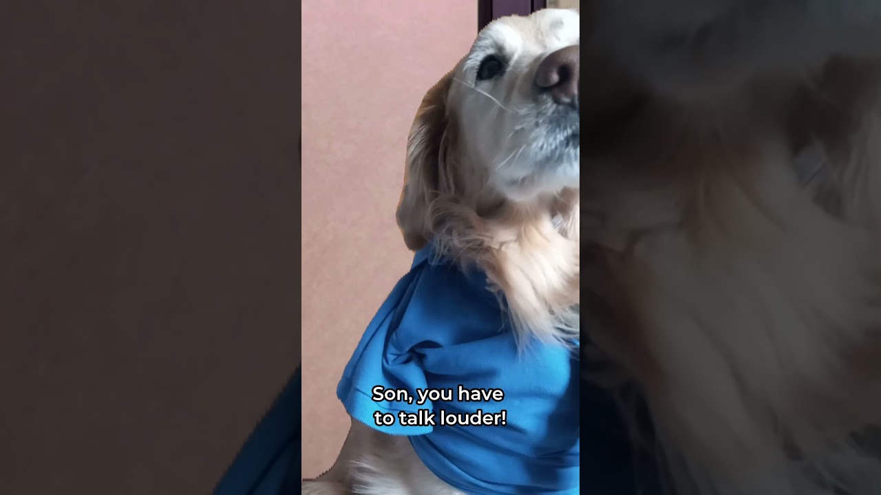 My Dog Is Bill Buttlicker!!🏢🐕 