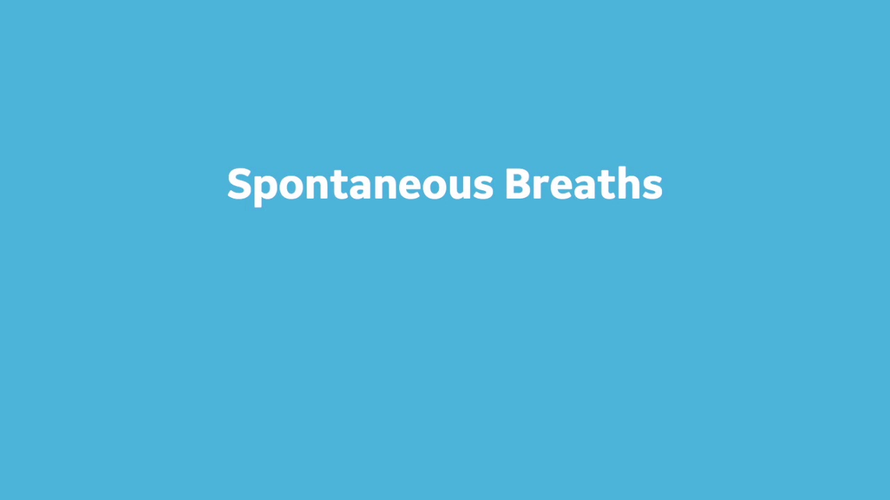 Mechanical Vs  Spontaneous Breaths